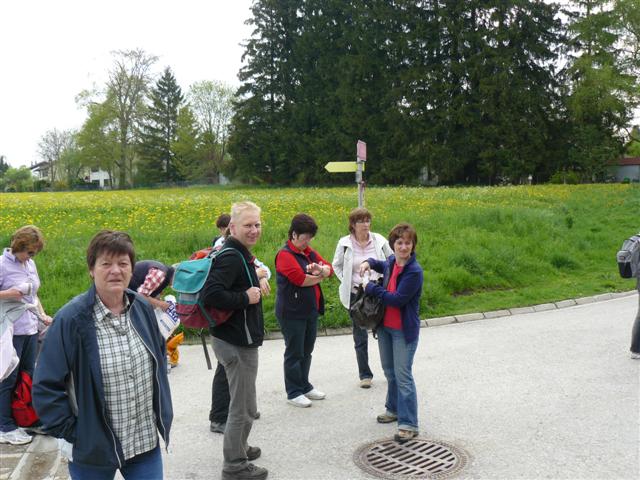 618x457 pixels (72K)